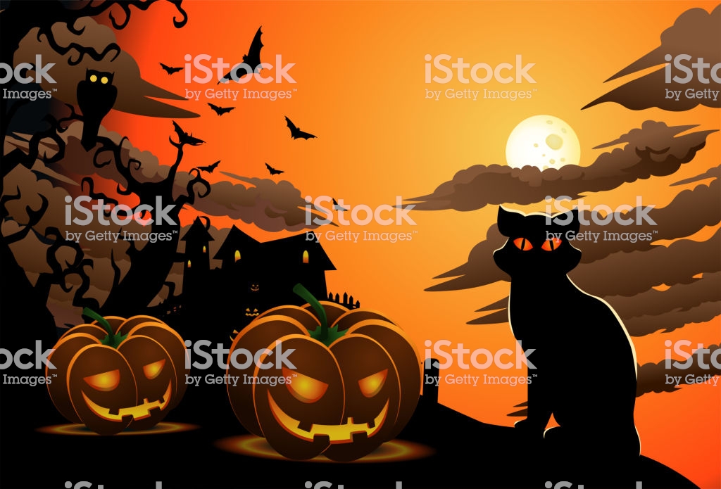 Scary Cat On Halloween Wallpaper With Carved Pumpkins Stock