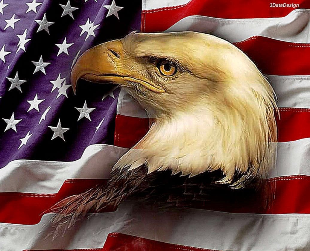Patriotic Eagle Wallpaper Best HD