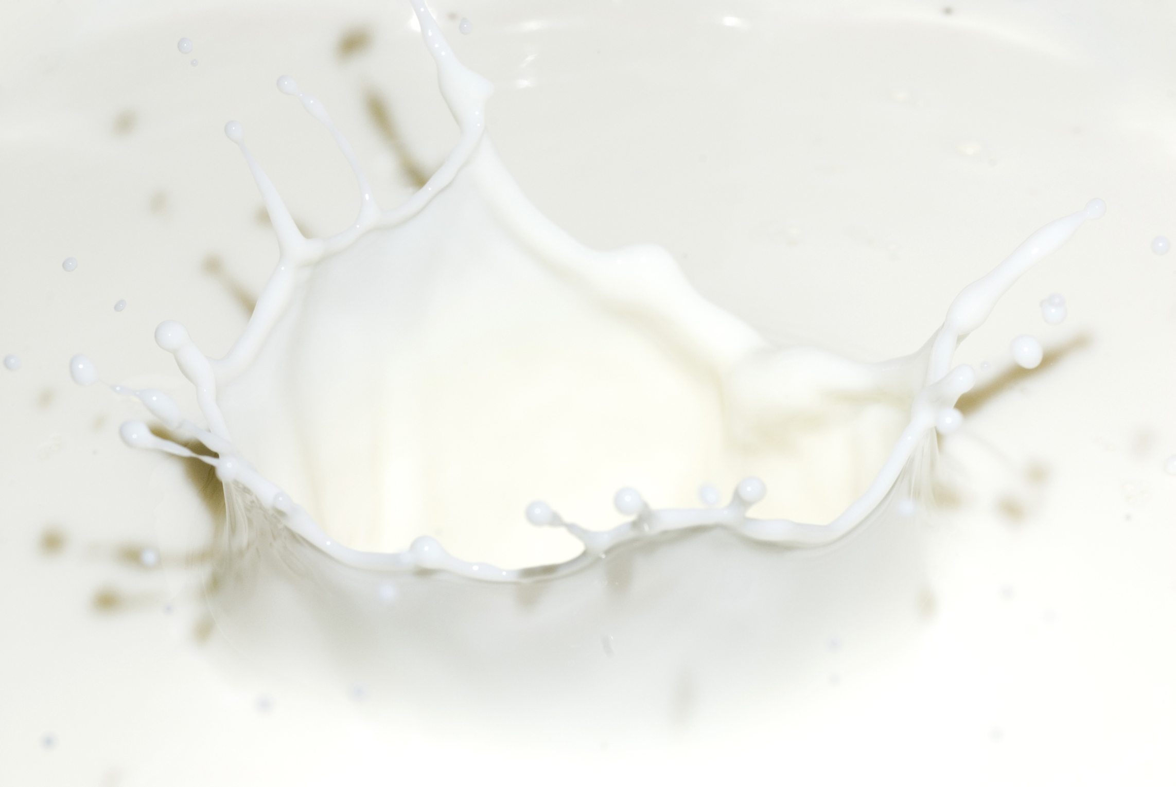 Free download Milk Wallpapers JN89QW4 WallpapersExpertcom [2285x1530] for  your Desktop, Mobile & Tablet | Explore 56+ Milk Wallpaper | Design Milk  Desktop Wallpaper, Dairy Milk Chocolate Wallpapers, Design Milk Wallpaper
