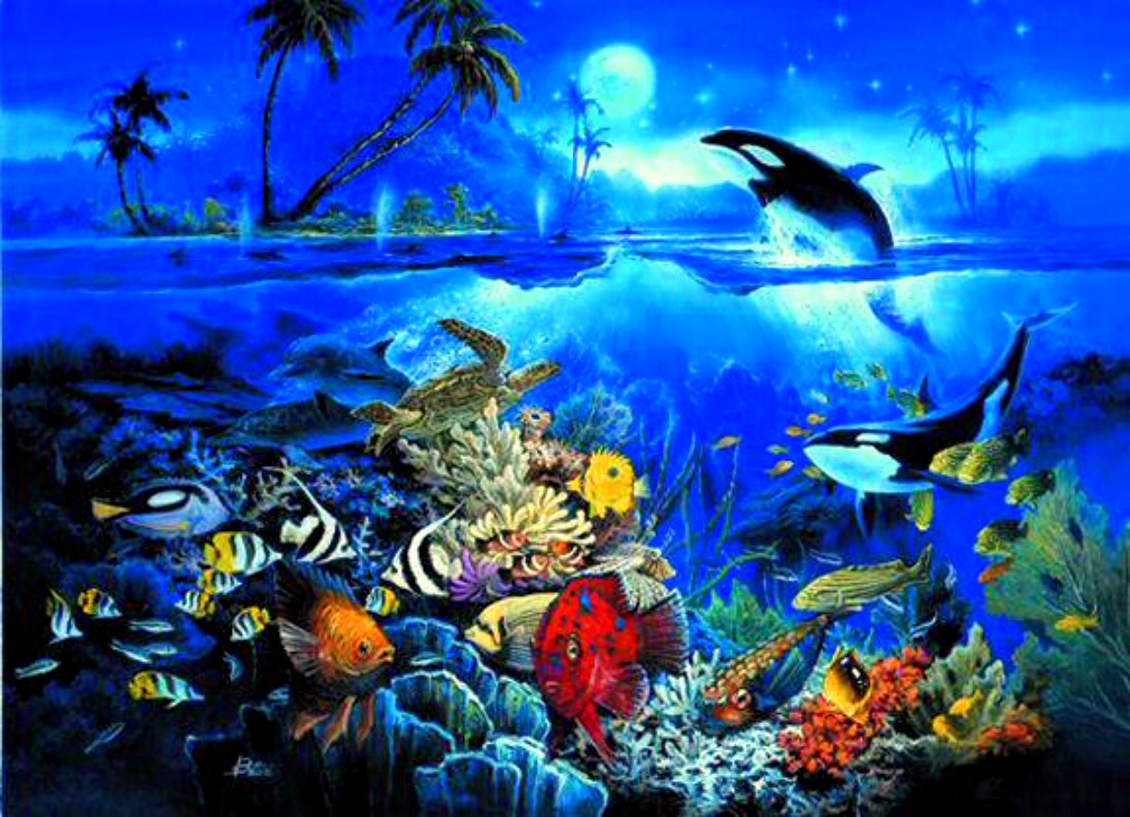Underwater Ocean Background HD Wallpaper Background