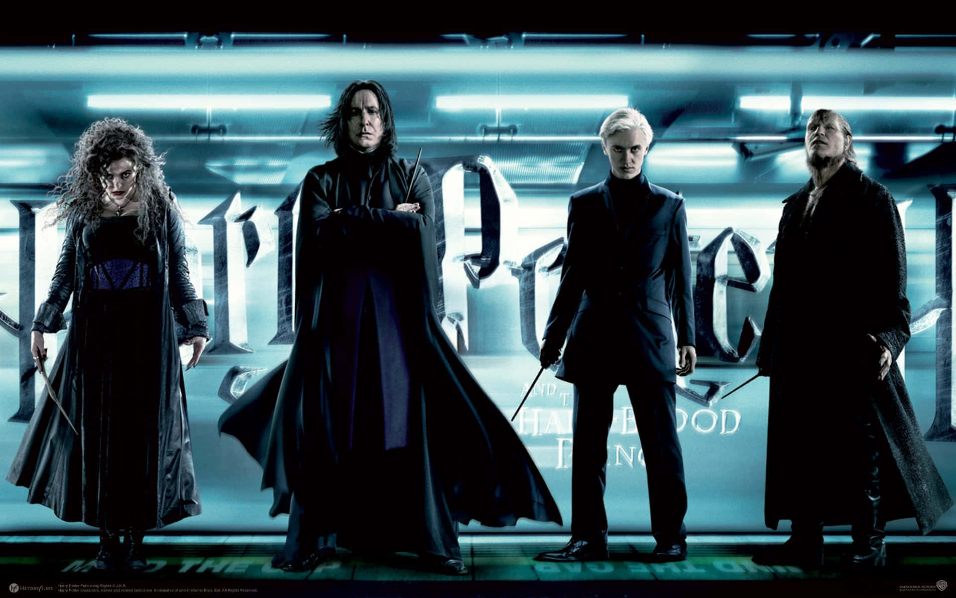 Harry Potter All Characters Wallpaper