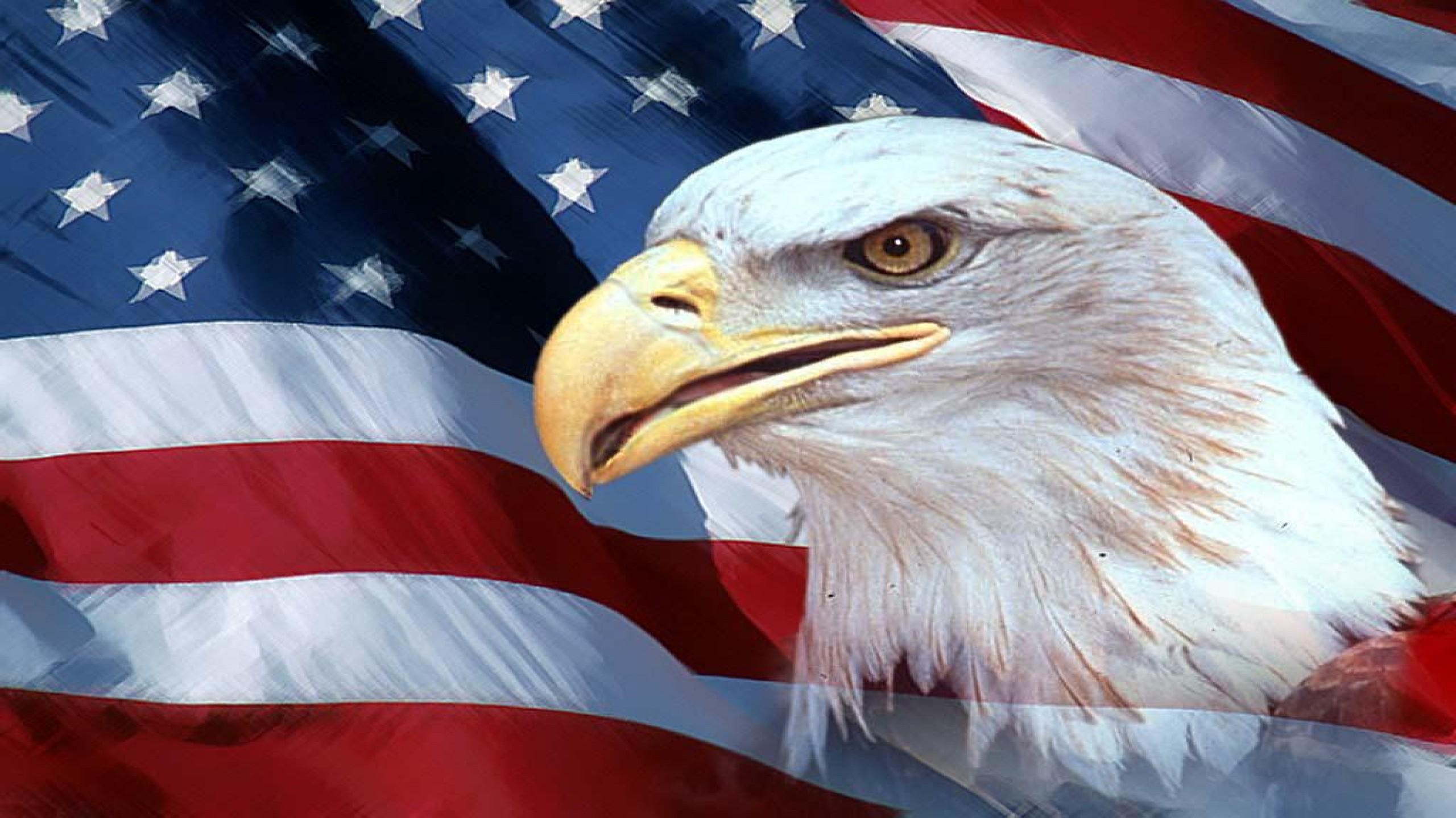 Patriotic Wallpaper Usa Flag Eagle