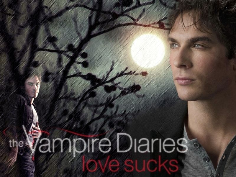 The Vampire Diaries   Damon 2   Team Damon Wallpaper 15811865 800x600