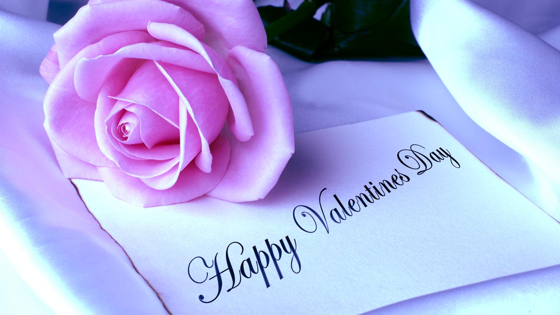 Happy Valentine S Day HD Wallpaper Background Pictures