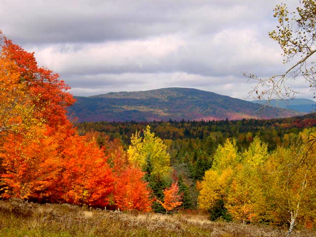 Maine Fall Foliage Photo Gallery