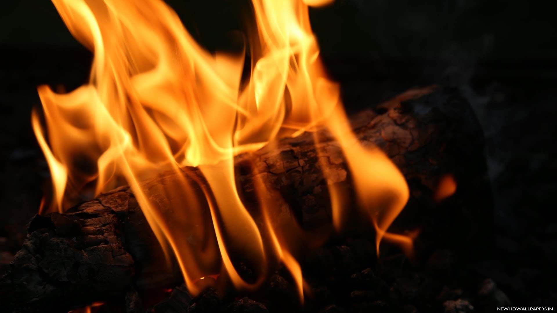 Hot Embers And Wood Fire Desktop Wallpaper New HD