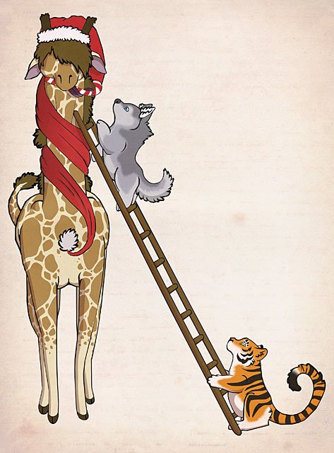 Giraffe Giraffes Animals Postcards