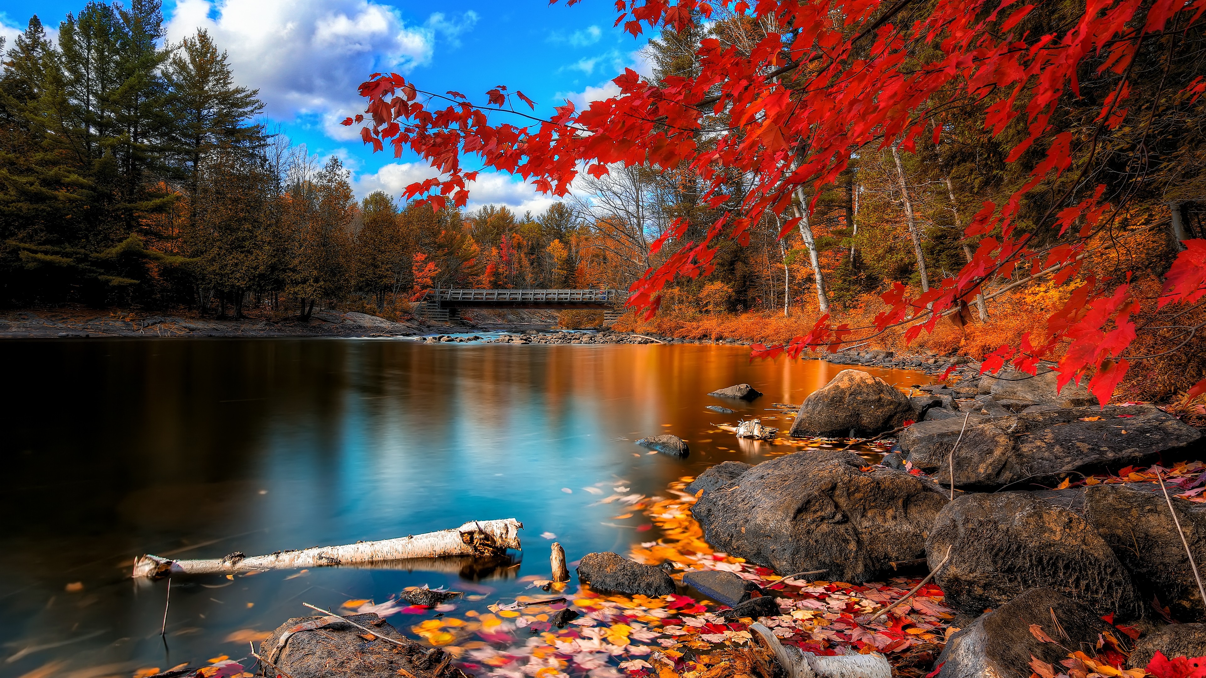 Wallpaper Autumn Forest 4k HD Leaves Trees Lake