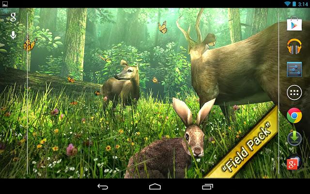Forest HD v16 [Unlocked] Live Wallpaper Apk Free Download   APK DL