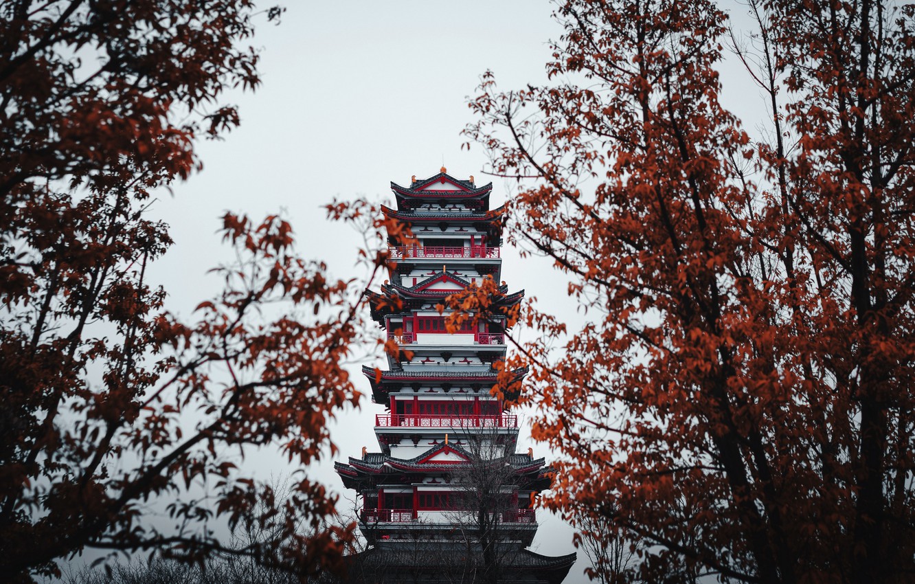 Wallpaper China Trees Autumn Leaves Landscapes Architecture