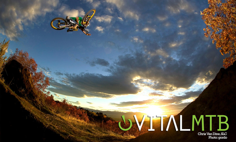 Vital MTB Desktop Wallpapers   Mountain Bikes Feature Stories   Vital
