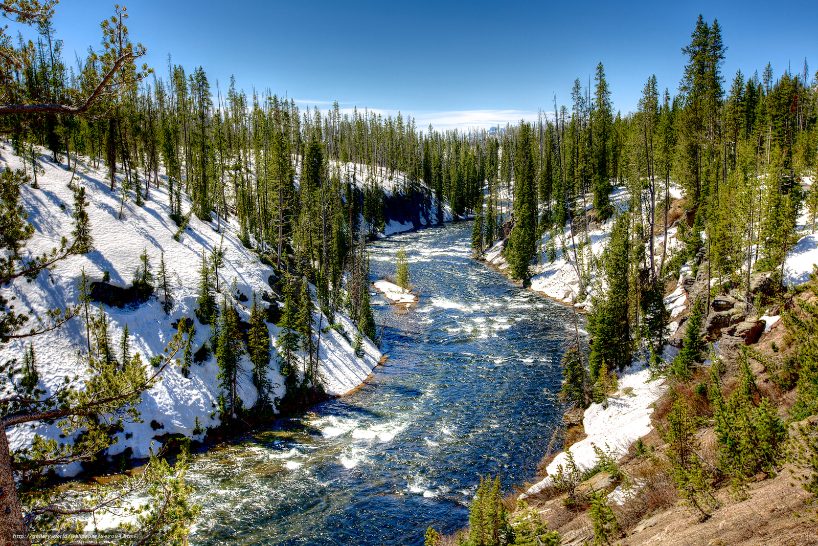 Download wallpaper Yellowstone National Park river trees landscape