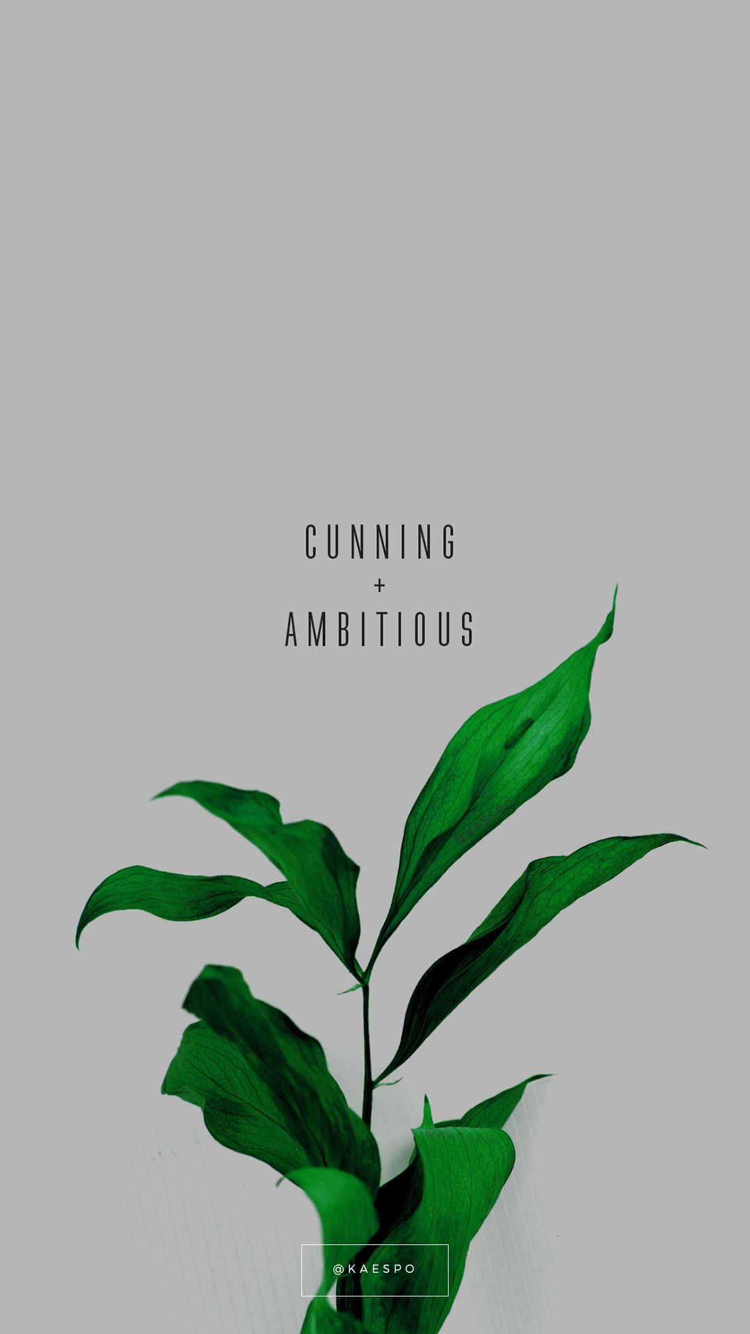 Green Plant Aesthetic Wallpaper On