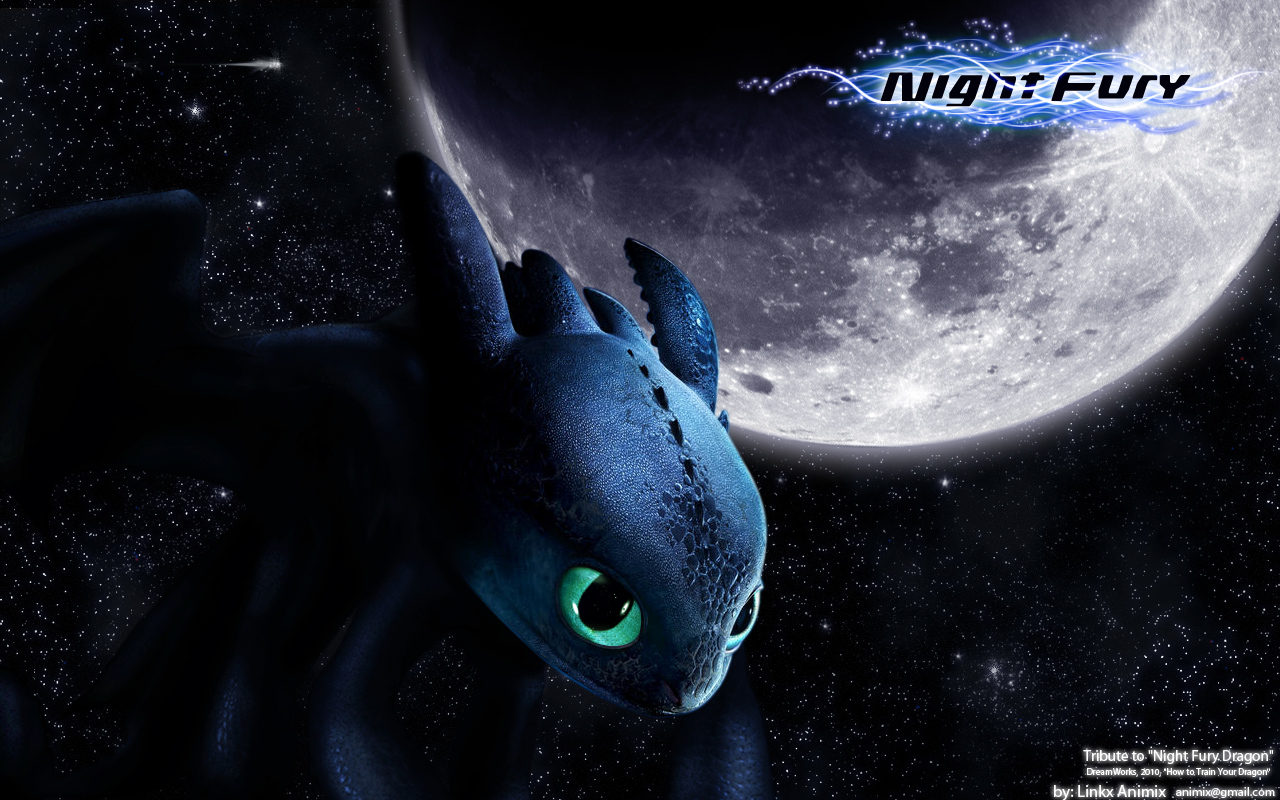 Night Fury By Linkx Wemic
