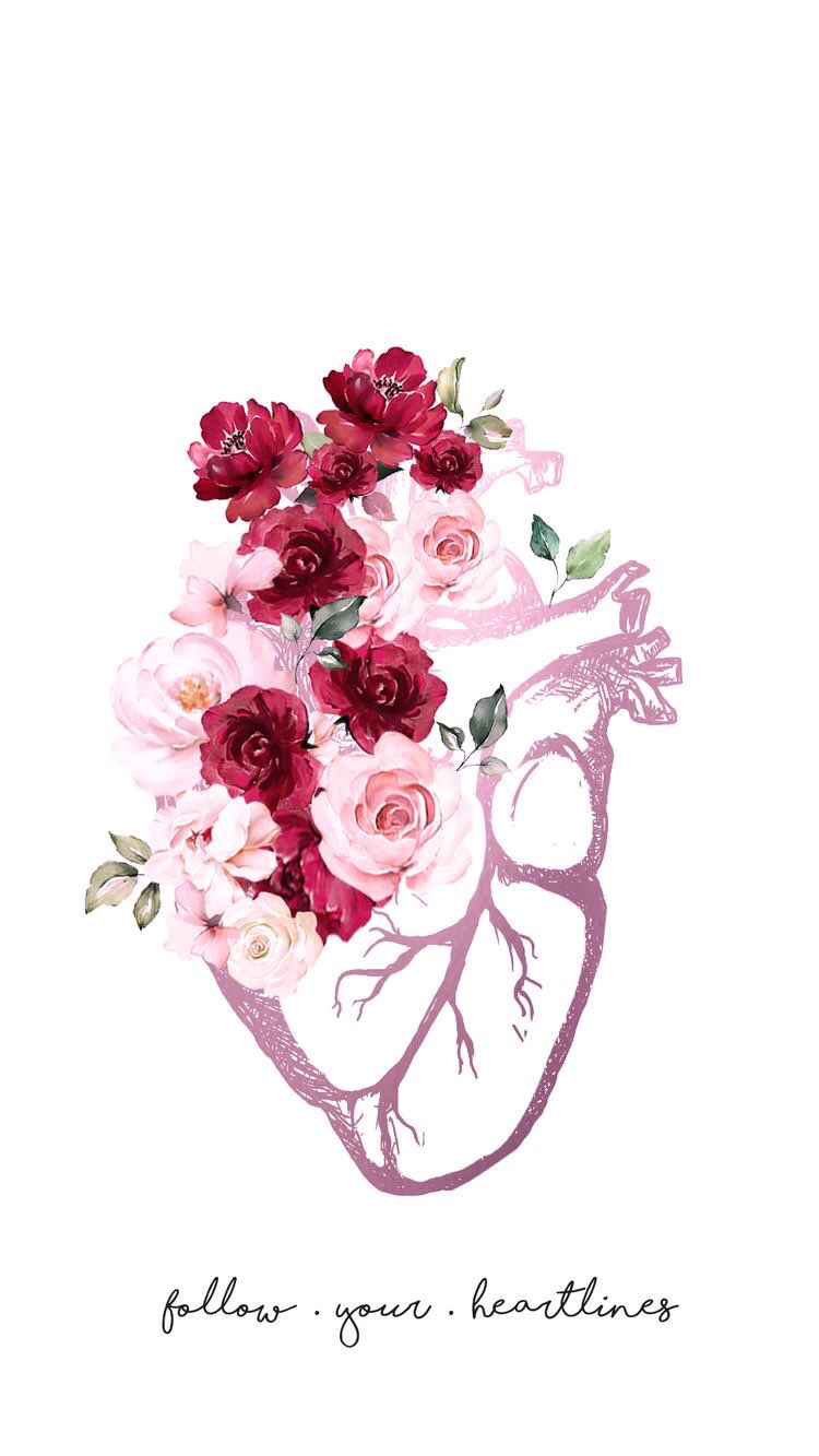 Anatomical Heart With Flowers Images  Browse 1461 Stock Photos Vectors  and Video  Adobe Stock