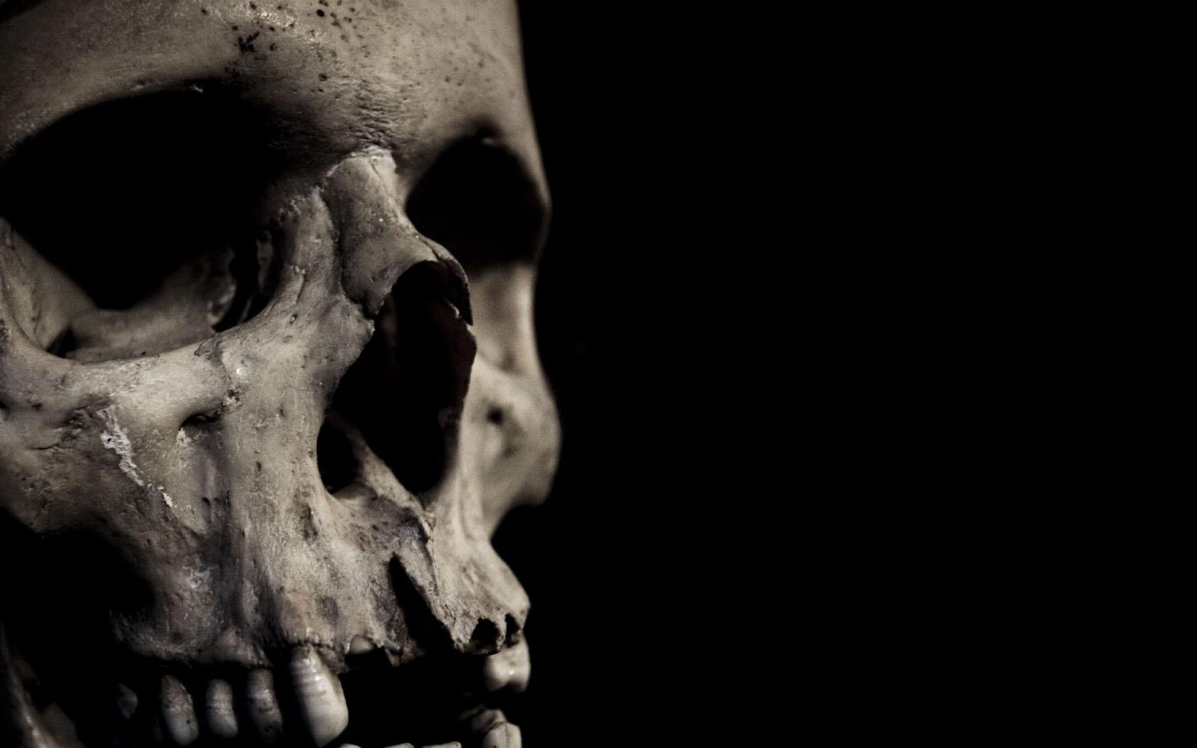 File Name Art Desktop Wallpaper Skull Pictures