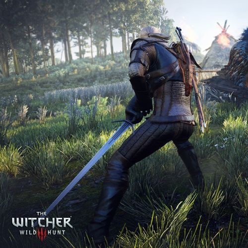 Game Wallpaper Picture For iPhone Blackberry iPad The Witcher
