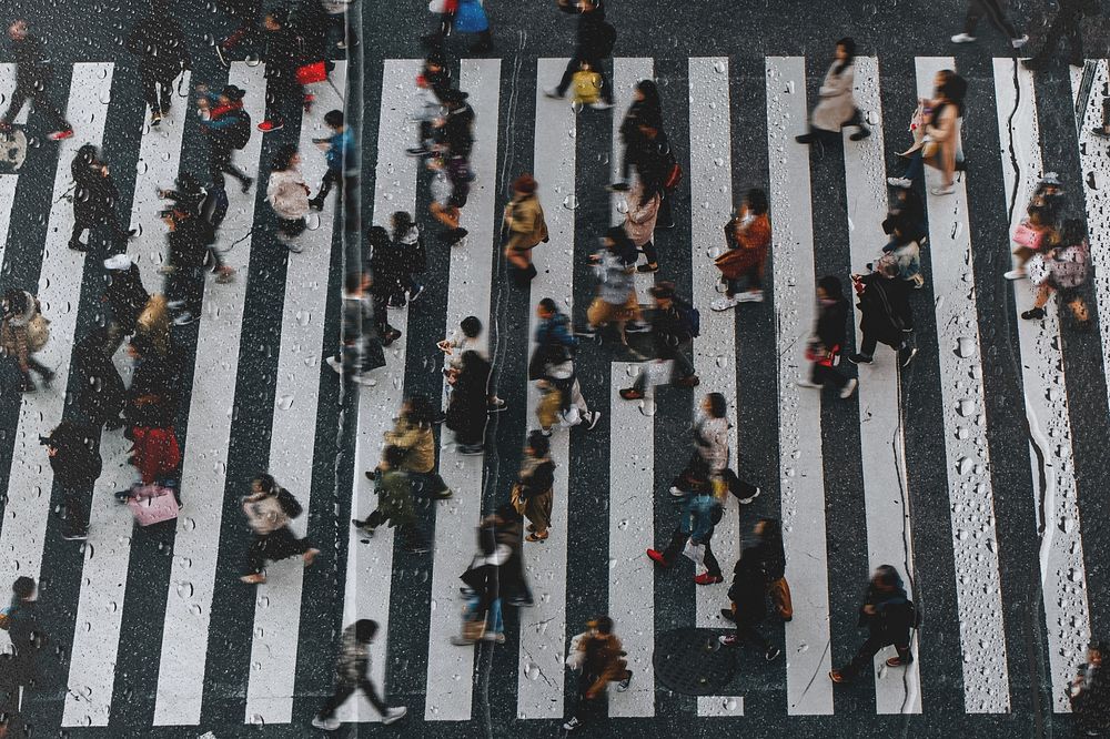 Crossing A Crosswalk Wallpaper