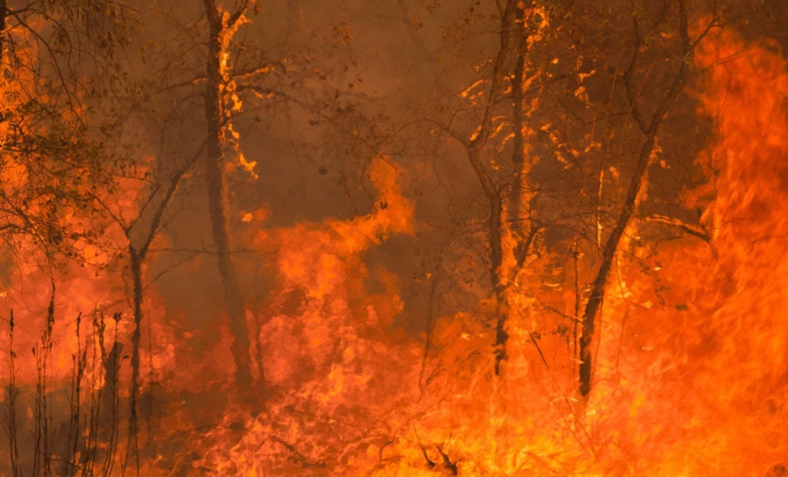 How Well Do You Know Fire Wallpaper