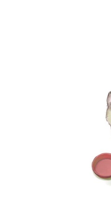 Meowth Pokemon Wallpaper Desktop Background
