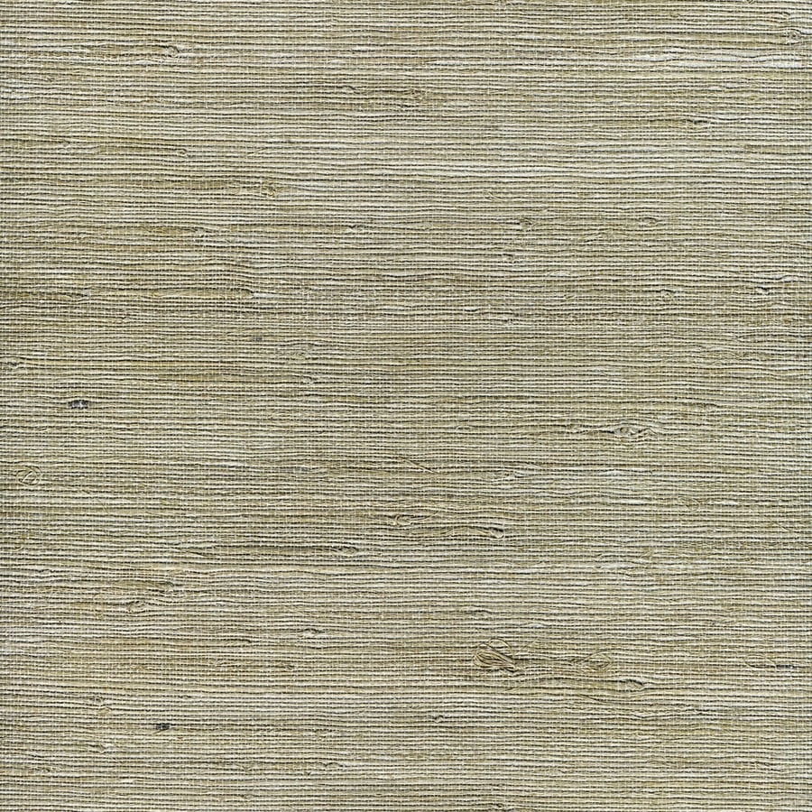  allen roth White Grasscloth Unpasted Textured Wallpaper at Lowescom 900x900