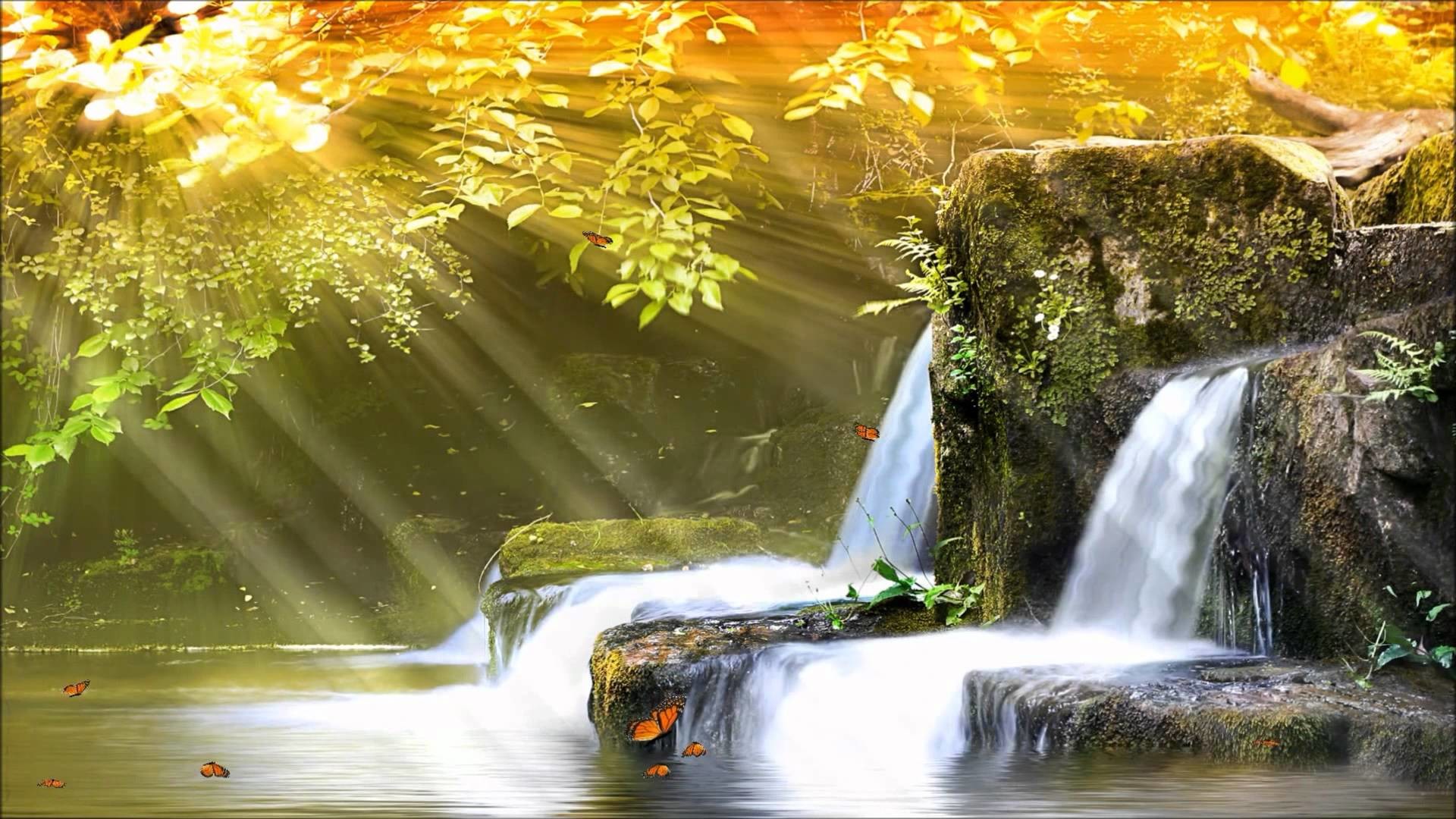 Animated Waterfall Wallpaper With Sound