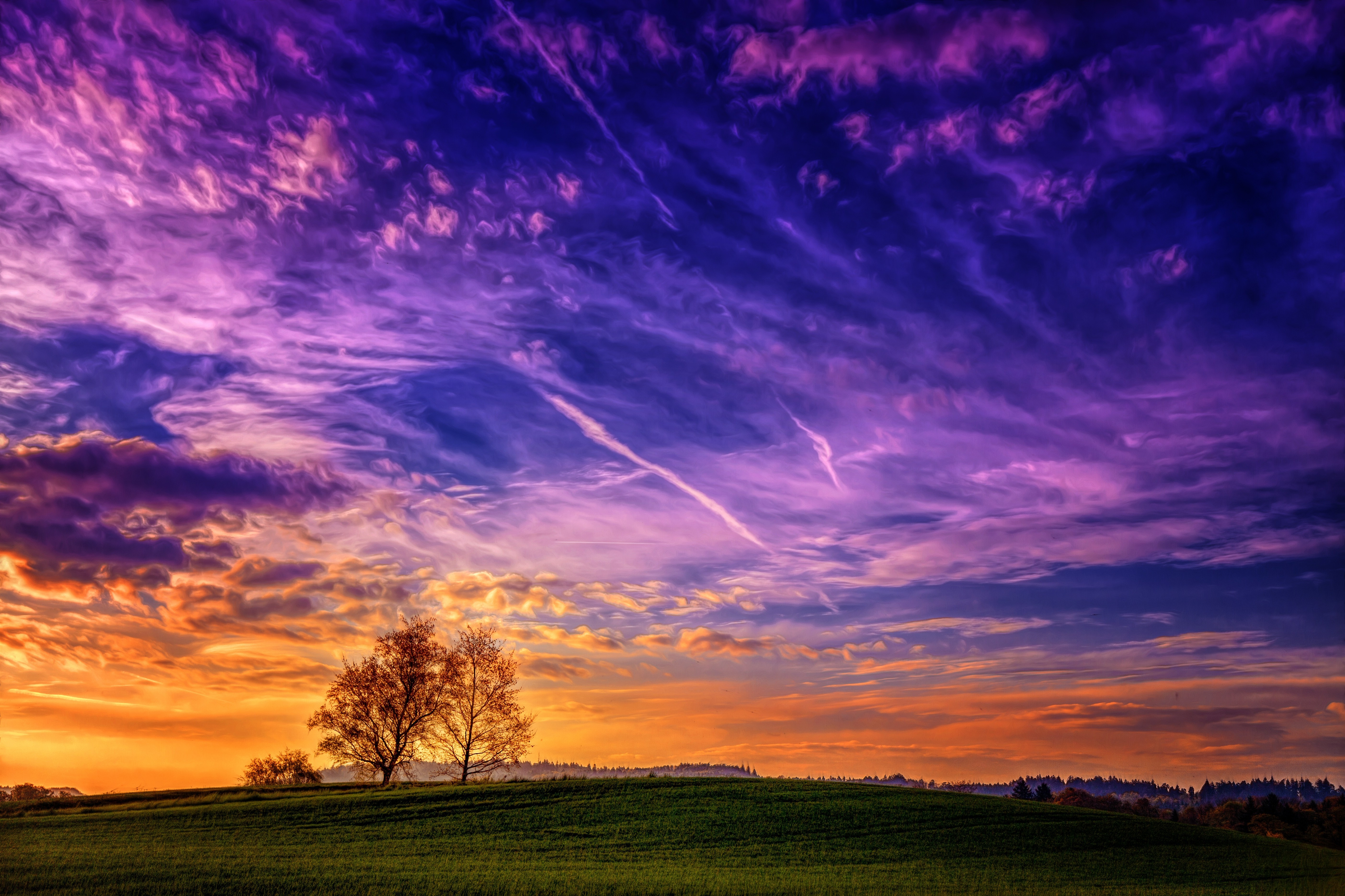 Landscape Trees Clouds Wallpaper HD