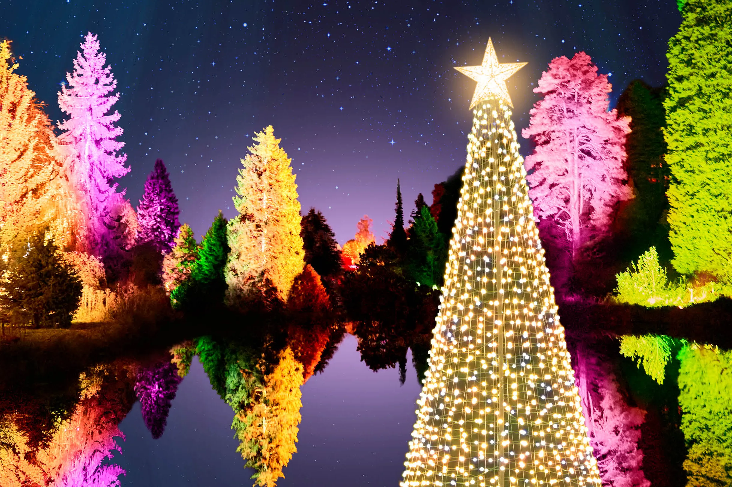 🔥 [48+] Beautiful Christmas Lights Wallpapers WallpaperSafari