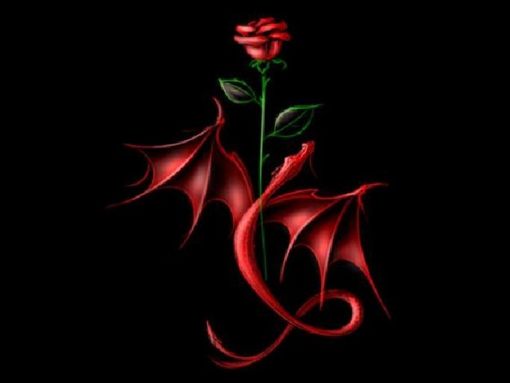 Dragon N Rose Wallpaper To Your Cell Phone Black