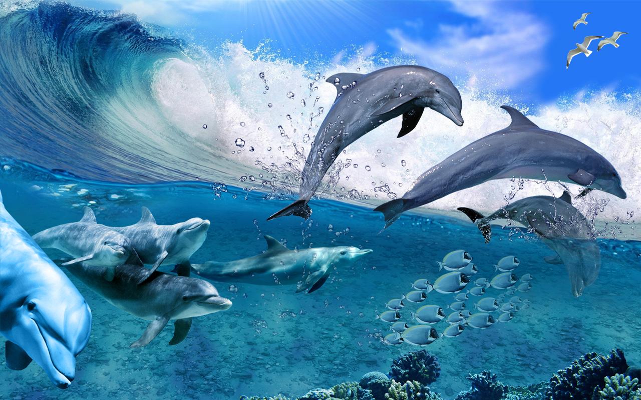 Of Beautiful Dolphins Swimming And Jumping Through The Waves