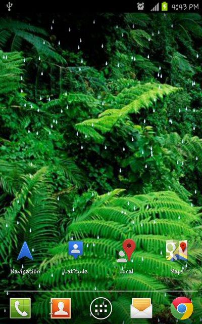 Rain Forest HD Live Wallpaper   Android Apps on Google Play