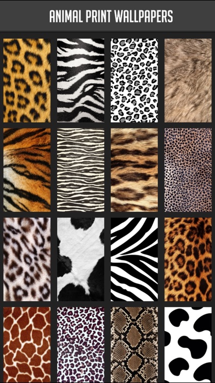 Animal Print Wallpaper By Atlas Labs