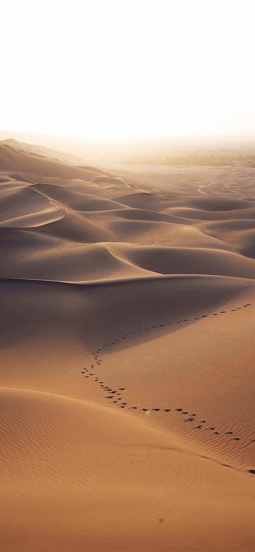 Desert Aesthetic Wallpaper Desktop