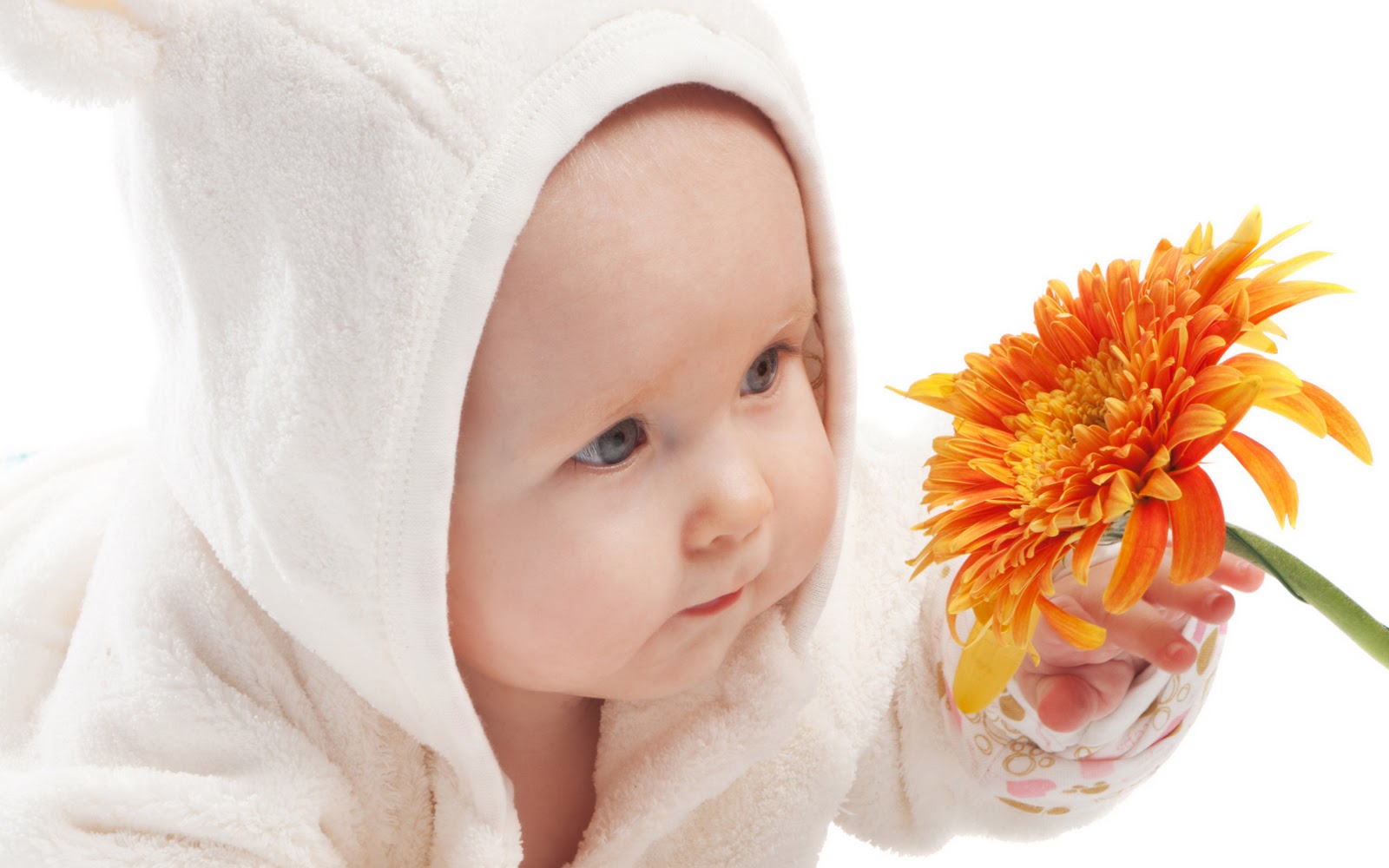 Cute Baby HD Wallpaper For Desktop Background