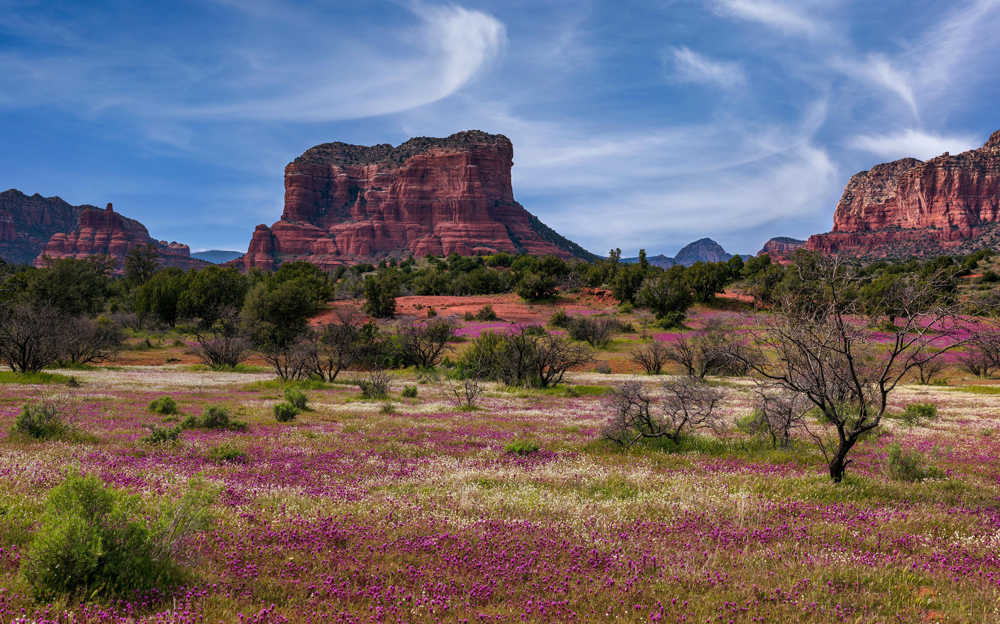 Desktop Wallpaper Usa Sedona Arizona Rock Spring Nature