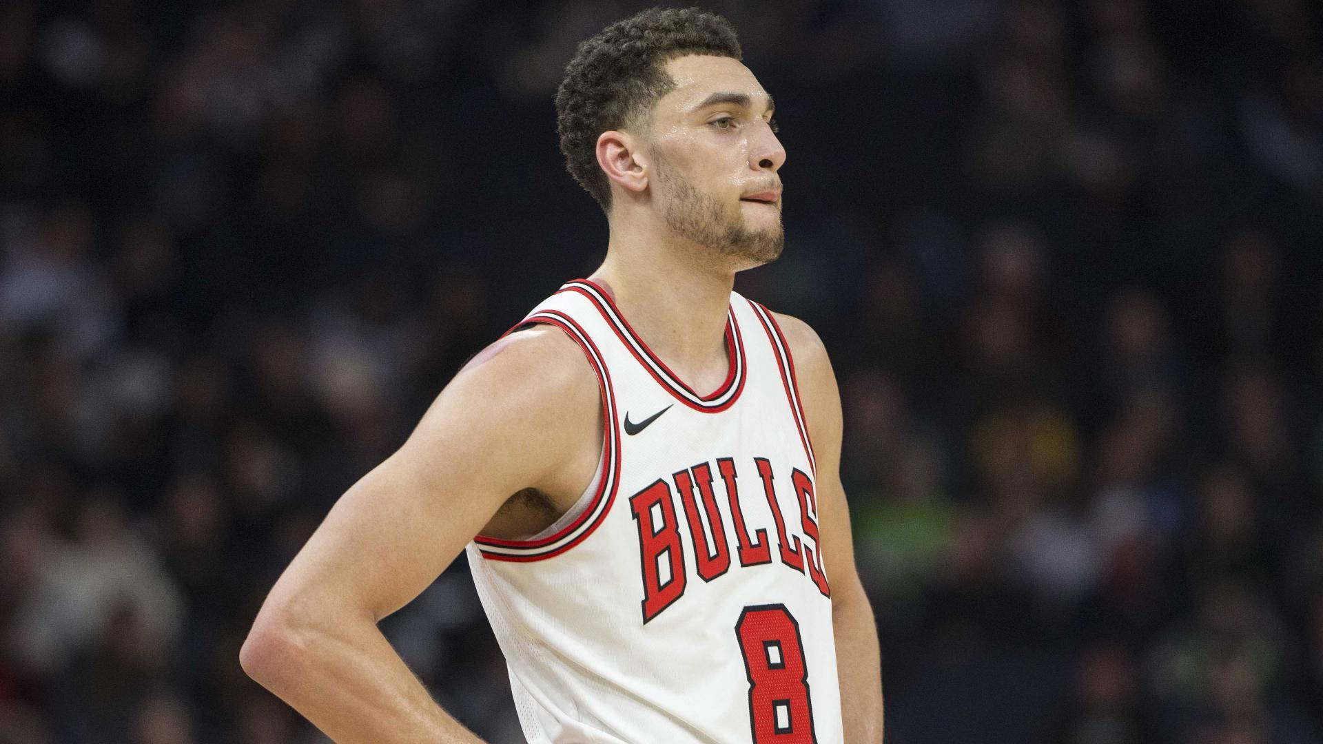Lavine Wallpaper