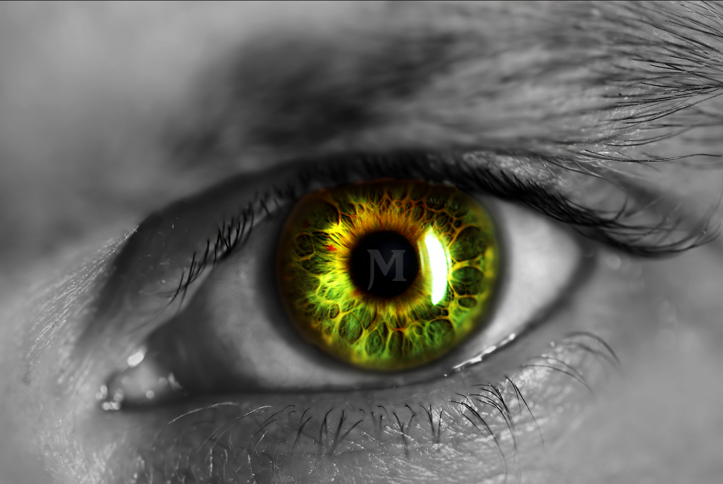 Green Man Eye Wallpaper And Background Image Id