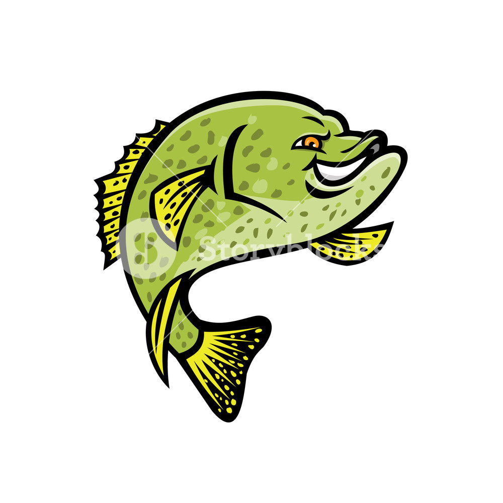Mascot Icon Illustration Of A Crappie Papermouth Strawberry Bass
