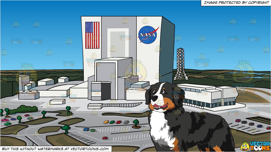 A Very Nice Bernese Mountain Dog And Nasa Headquarters Background