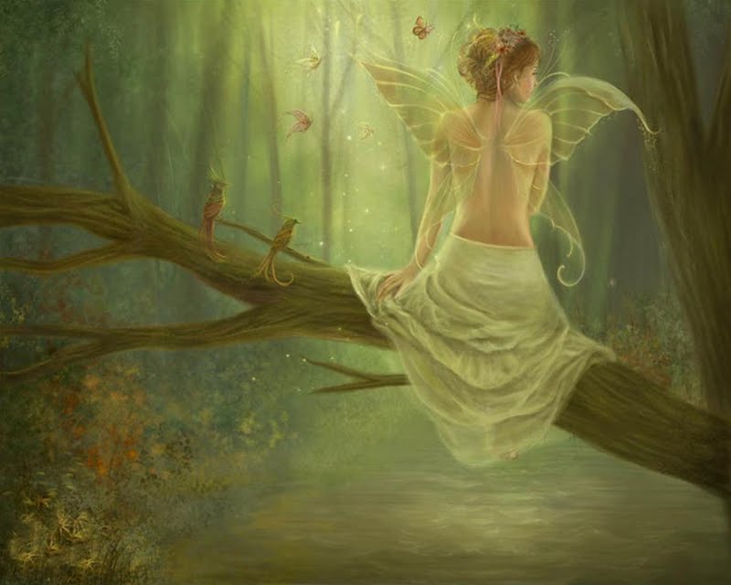 High Resolution Beautiful Fairy In Forest Desktop Laptop Wallpaper
