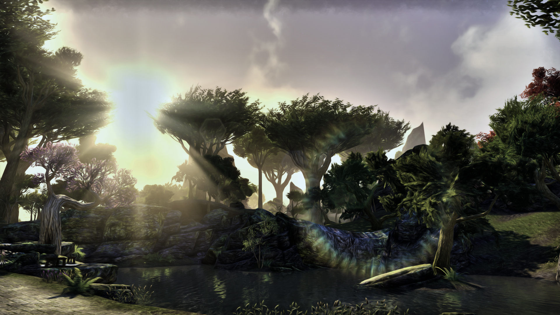 Background Elder Scrolls Online Eso Game Games Wallpaper Leave A Reply