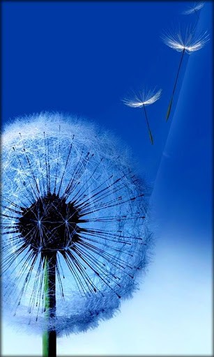 Galaxy Note Live Wallpaper By HD 3d