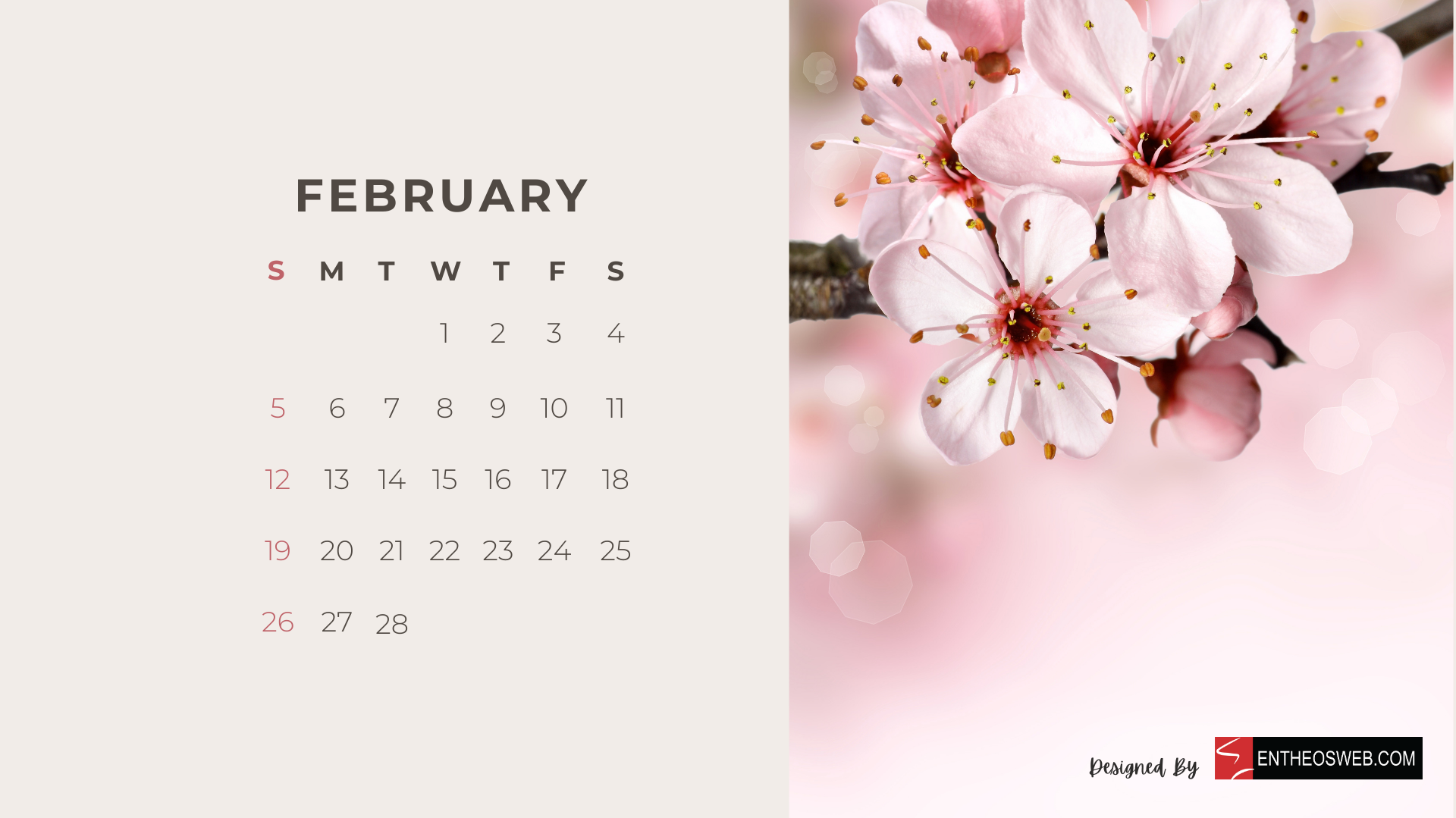 Beautiful Flowers 2023 Monthly Calendar for Desktop Wallpaper and