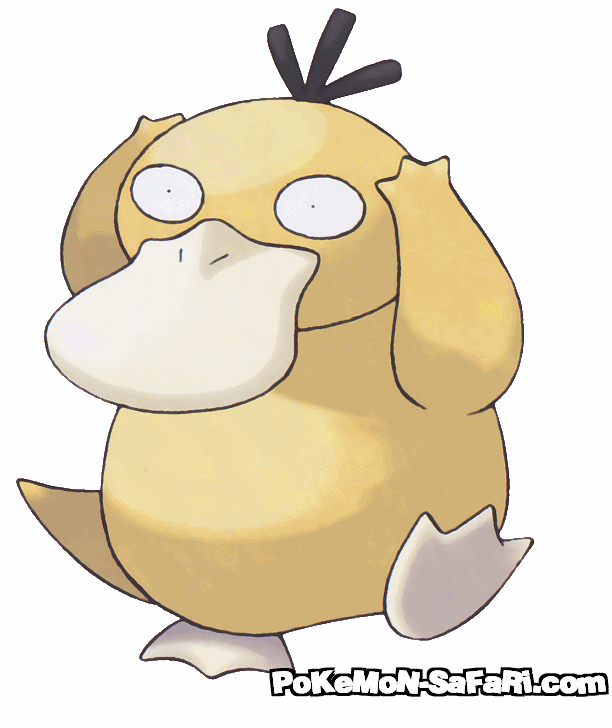 Psyduck Image Pics HD Wallpaper And Background