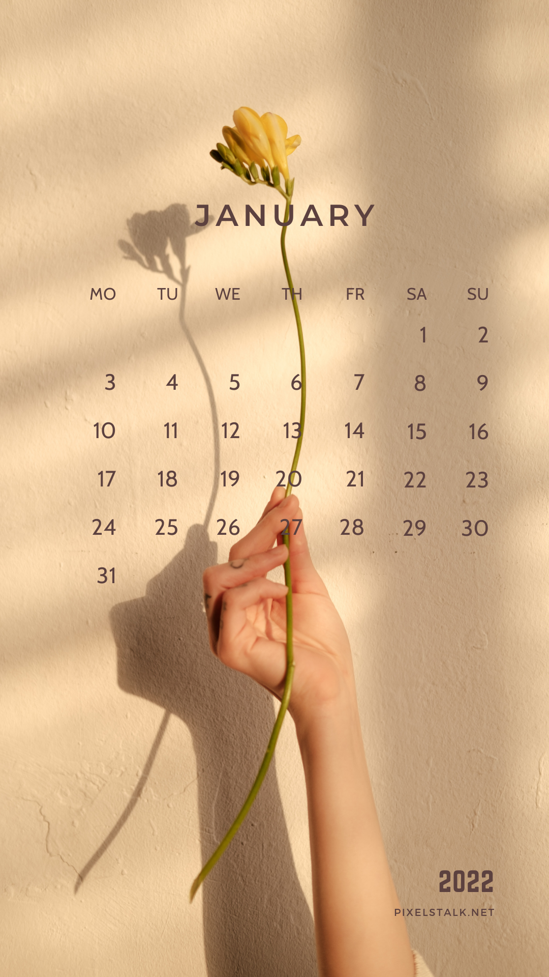 January Calendar iPhone Background