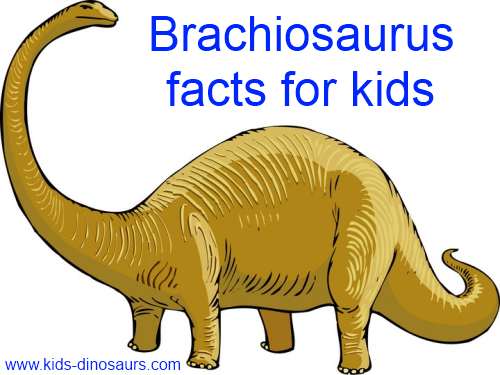 Kids Dinosaurs   Brachiosaurus
