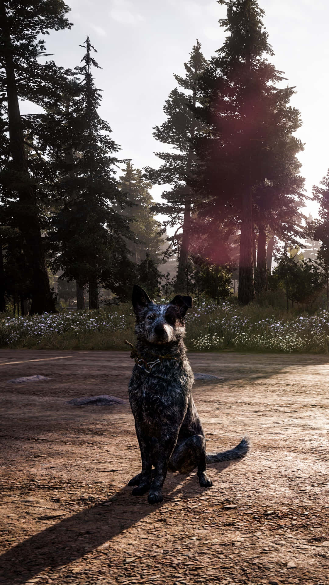 iPhone Xs Far Cry Background Wallpaper