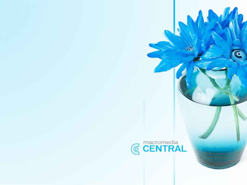 Blue Flowers Wallpaper