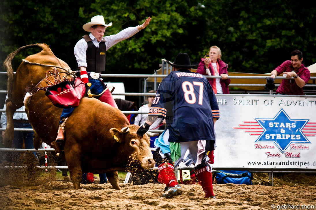 Displaying Image For Professional Bull Riding Wallpaper