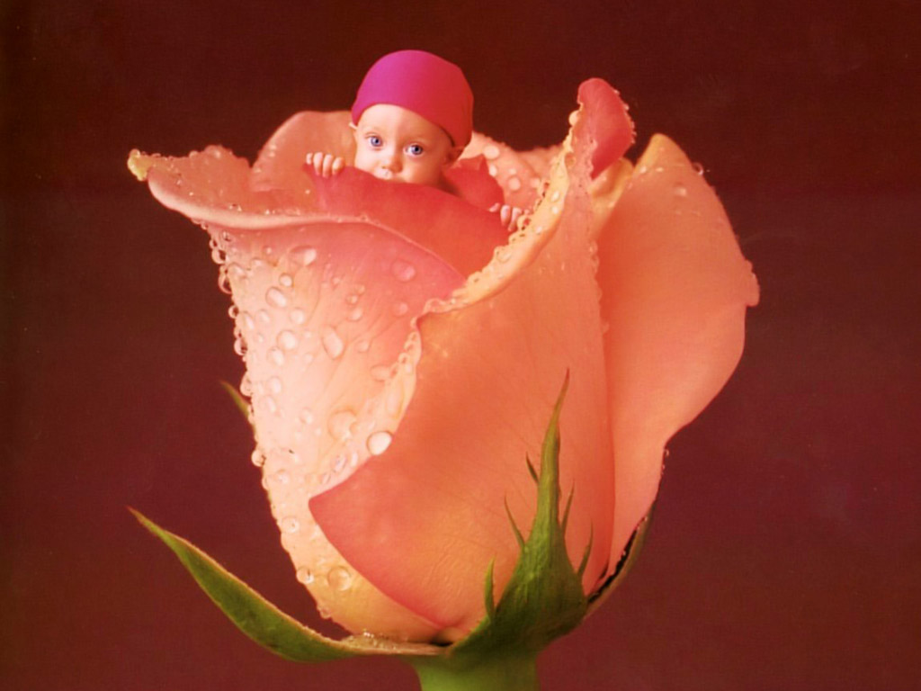 Anne Geddes Baby Wallpaper For Your